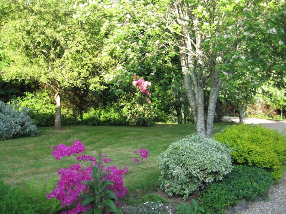 Self Catering Apartment At Beechwalk House. Enniskerry Luaran gambar