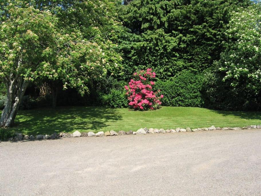 Self Catering Apartment At Beechwalk House. Enniskerry Luaran gambar